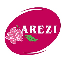 logo arezi